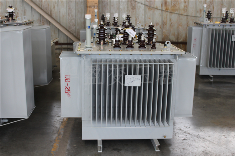 泸州S20-800kVA/10kV/0.4kV变压器